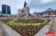 Нийслэлийн таван дүүргийн 20 байршилд 15 нэр зүйлийн 321 мянган цэцэг суулгана