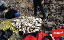 Тэд сайн үйлс хот тохижолтод зарцуулдаг, бид хулгайлдаг харсан гэрчийг айлгаж бууддаг 