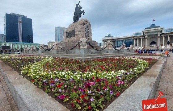 Нийслэлийн таван дүүргийн 20 байршилд 15 нэр зүйлийн 321 мянган цэцэг суулгана