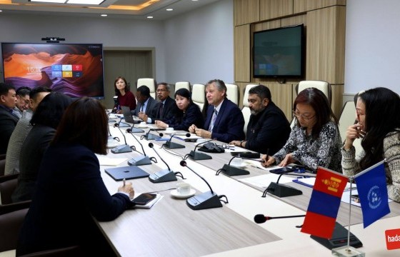 НҮБ-ЫН ТӨРӨЛЖСӨН БАЙГУУЛЛАГУУДЫН ТӨЛӨӨЛӨГЧИДТЭЙ УУЛЗАЖ, ХАМТЫН АЖИЛЛАГААНЫ ТАЛААР САНАЛ СОЛИЛЦЛОО