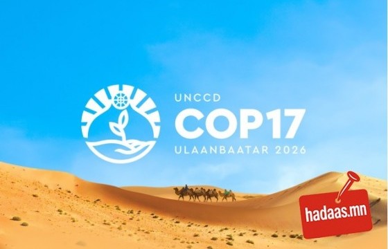 Бүгдэд нээлттэй, ээлтэй талбар бол “НОГООН БҮС” 