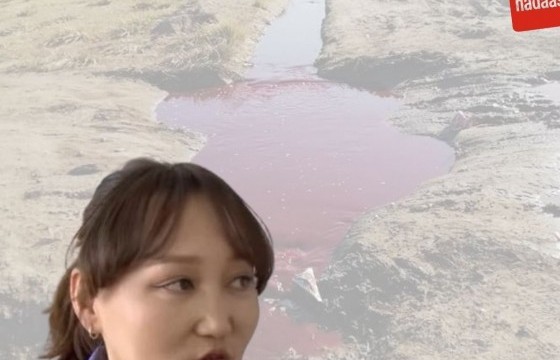 Б.ЖАВЗАНПАГАМ: ЭМЭЭЛТИЙН МАЛ НЯДАЛГААНЫ ГАЗРУУД УРЬДЧИЛАН СЭРГИЙЛЭХ БАЙГУУЛАМЖГҮЙ УЧИР ТӨВ ЦЭВЭРЛЭХИЙН БАЙГУУЛЛАГАД СӨРГӨӨР НӨЛӨӨЛЖ БАЙНА